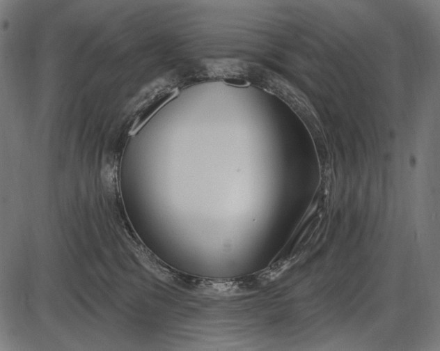 X0000086070329200704091242