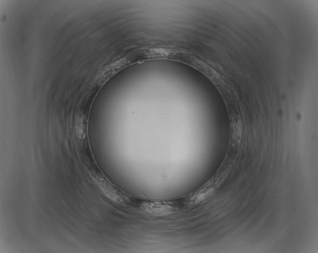 X0000086070331200704091242