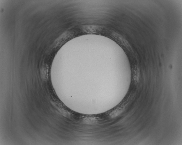 X0000086070332200704091242