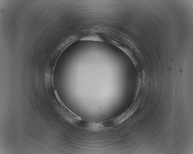X0000086070333200704091242