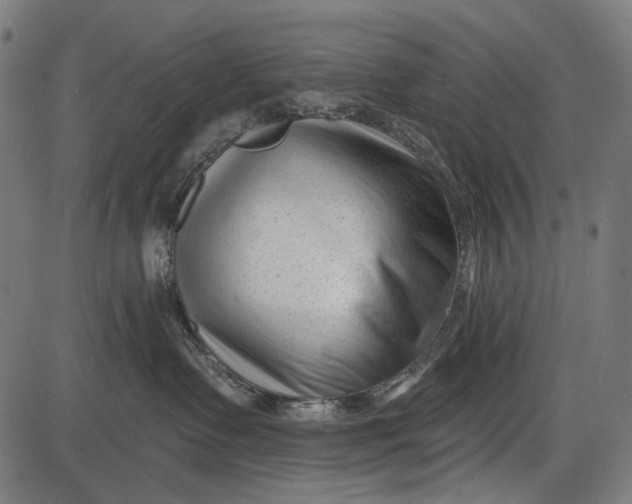 X0000086070335200704091242