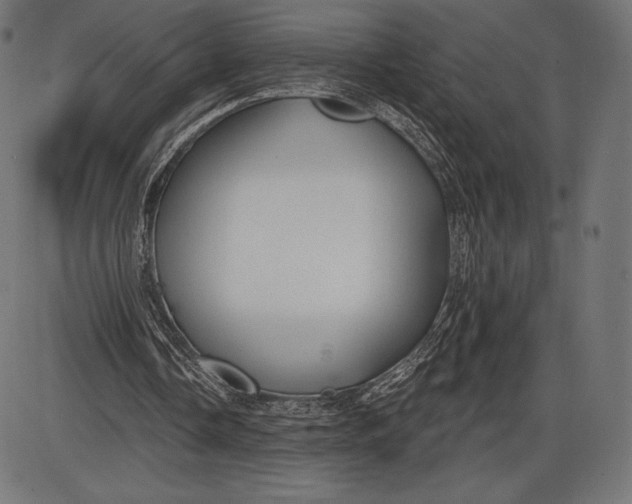 X0000086070338200704091241