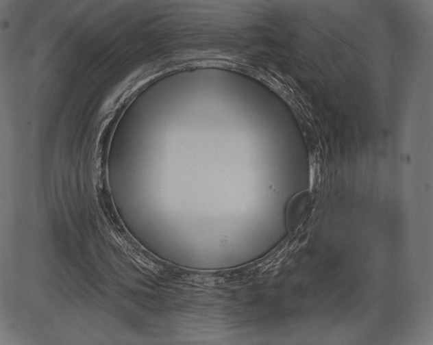 X0000086070339200704091241