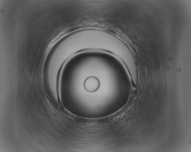 X0000086070344200704091241