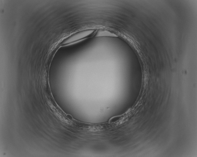 X0000086070345200704091241