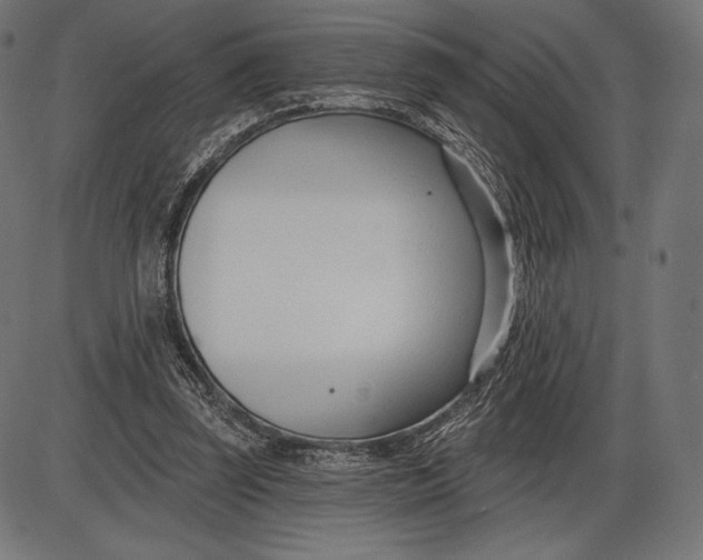 X0000086070347200704091241