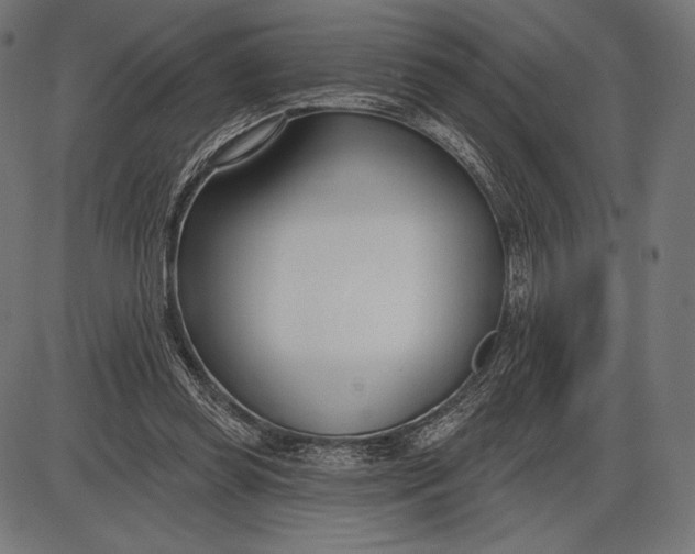 X0000086070349200704091241