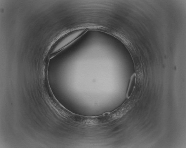 X0000086070350200704091241