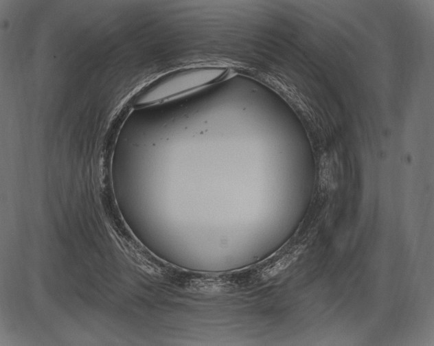 X0000086070351200704091241