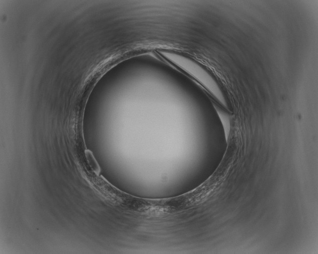 X0000086070352200704091241
