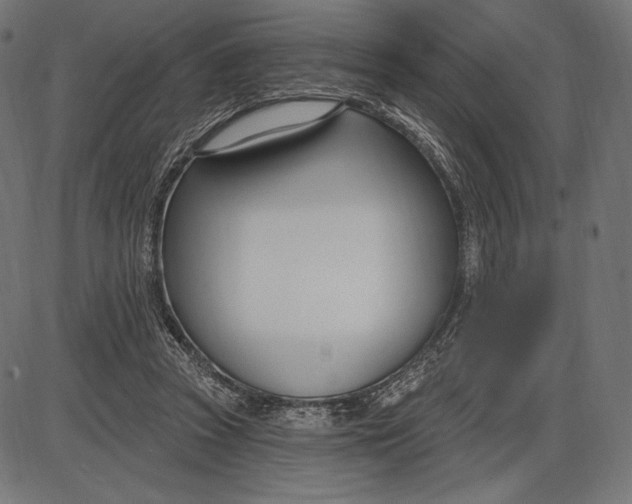 X0000086070353200704091241