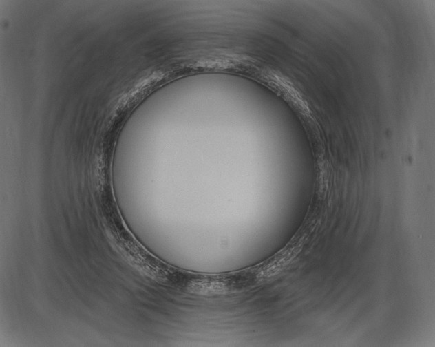 X0000086070354200704091241