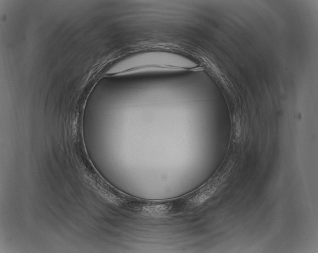 X0000086070357200704091241