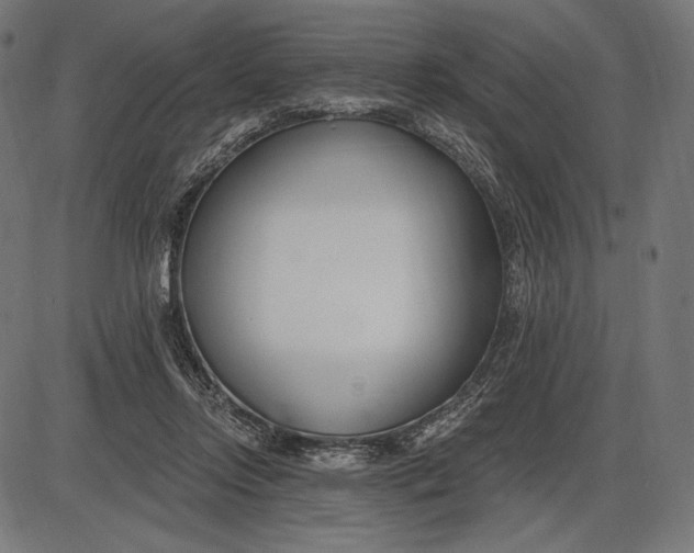 X0000086070358200704091241