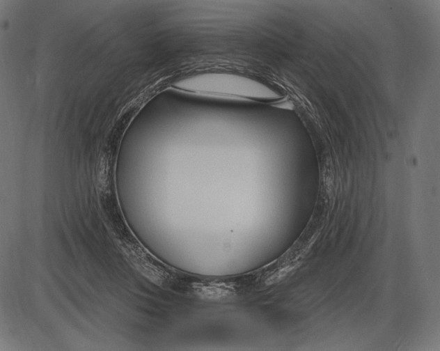 X0000086070359200704091241
