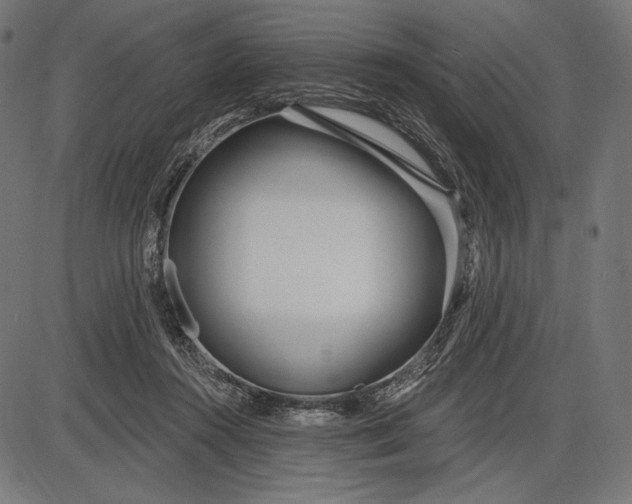 X0000086070360200704091241