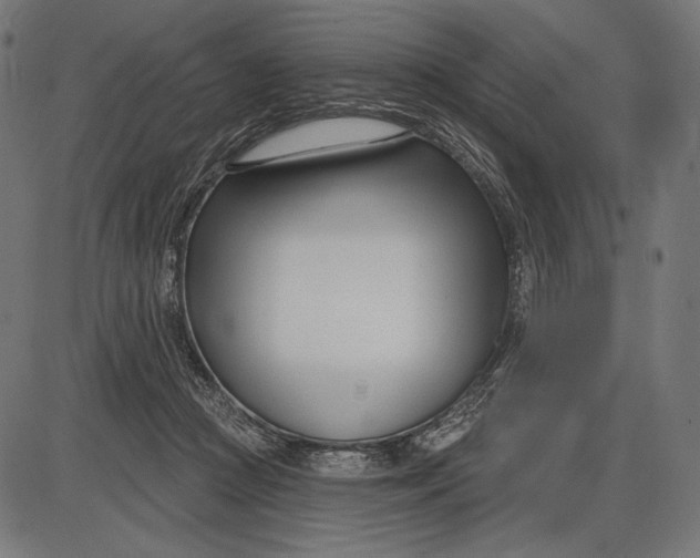 X0000086070361200704091241