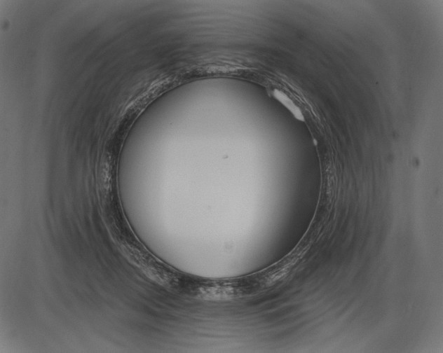 X0000086070362200704091241