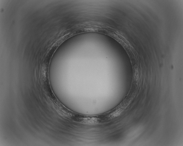 X0000086070363200704091241