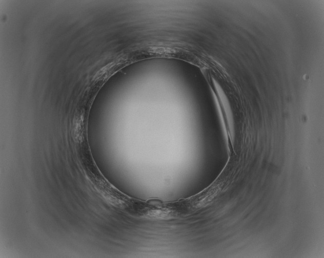 X0000086070364200704091241