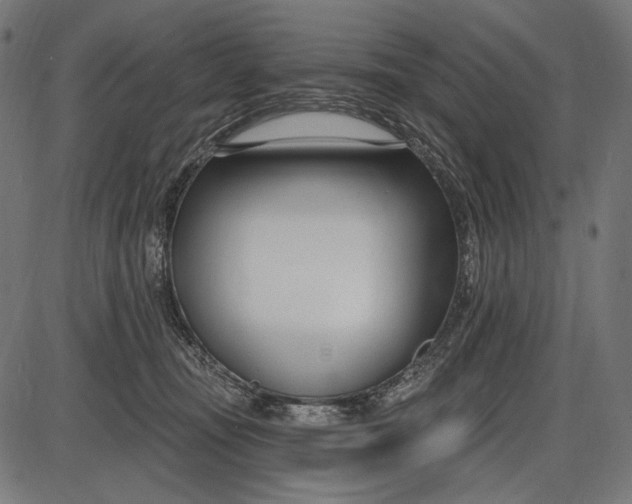 X0000086070371200704091241