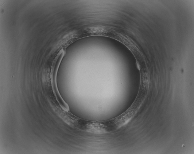 X0000086070372200704091241