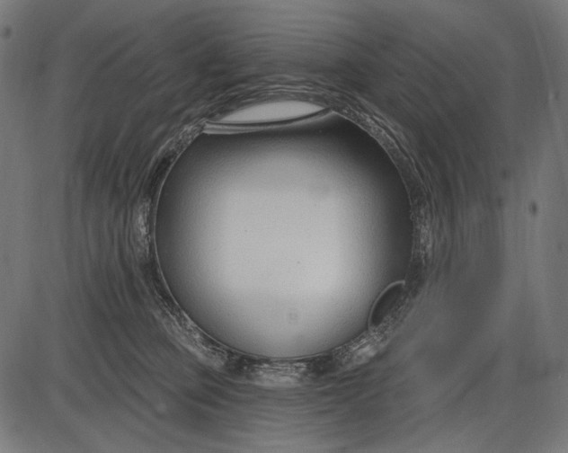X0000086070373200704091241