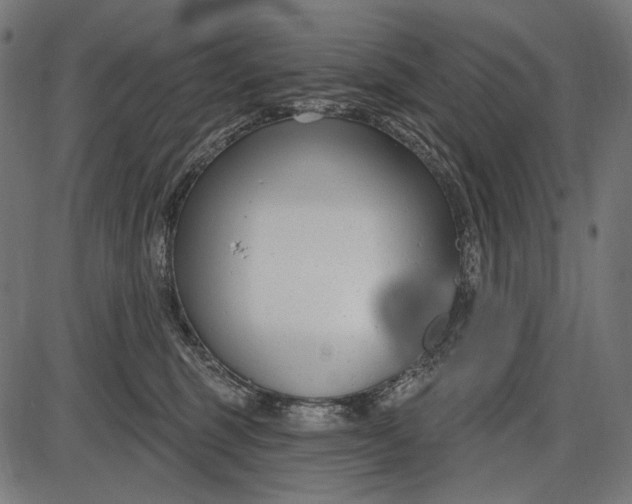 X0000086070375200704091241
