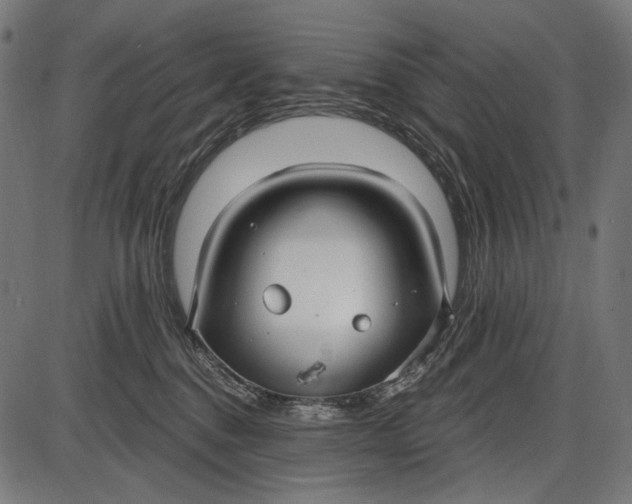 X0000086070376200704091241
