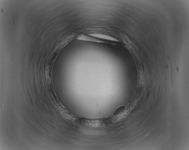 X0000086070377200704091241