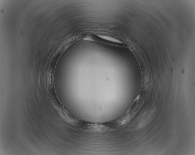 X0000086070379200704091242