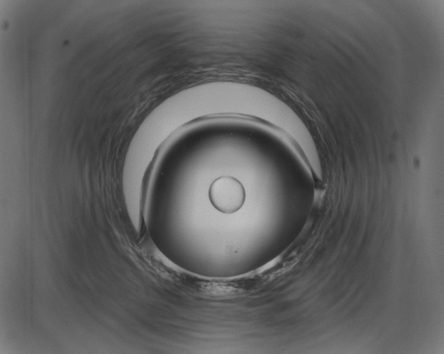X0000086070380200704091242