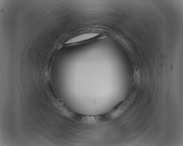 X0000086070381200704091242