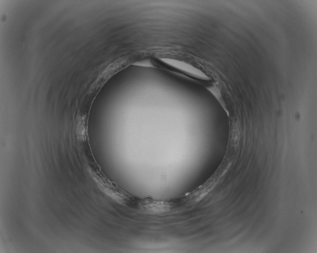 X0000086070383200704091242