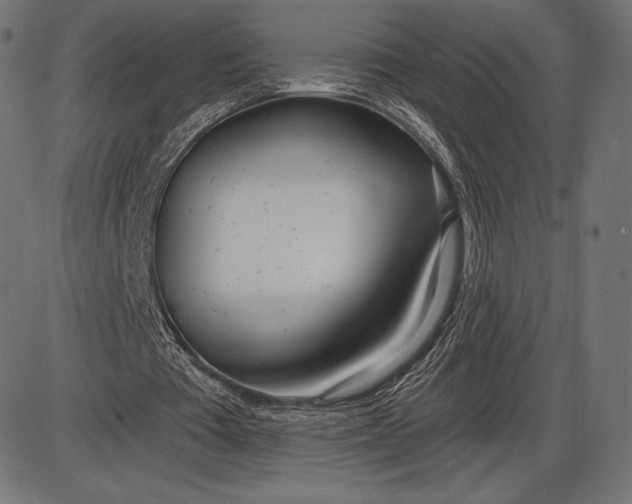 X0000086070385200704091241
