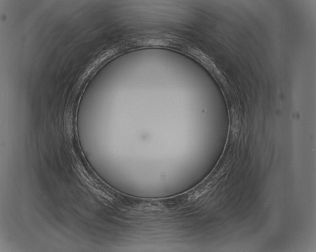 X0000086070386200704091241