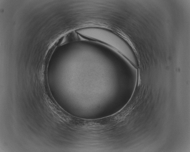 X0000086070387200704091241