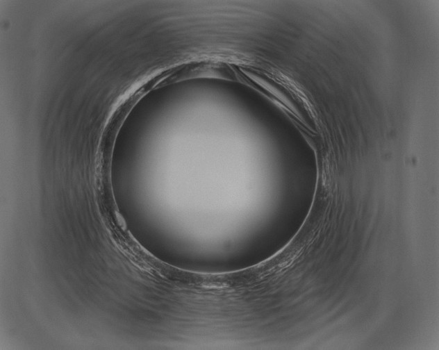 X0000086070388200704091241