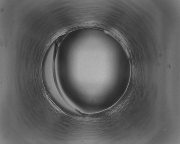 X0000086070389200704091241