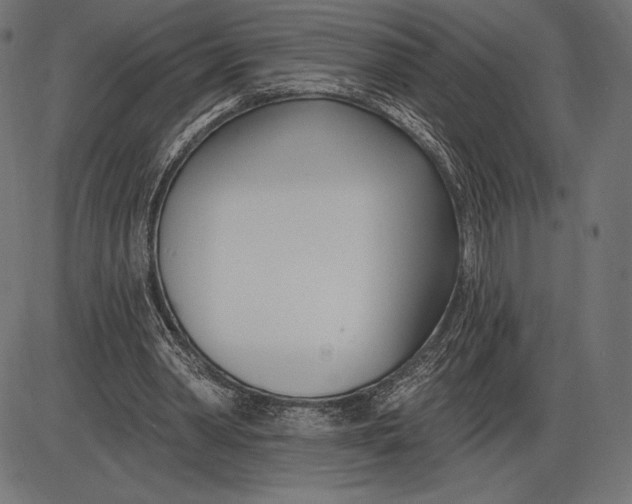X0000086070390200704091241
