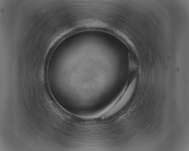 X0000086070391200704091241