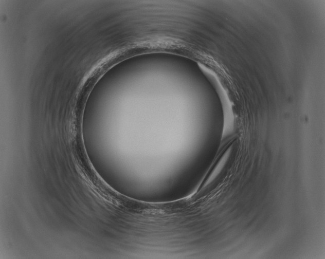 X0000086070392200704091241