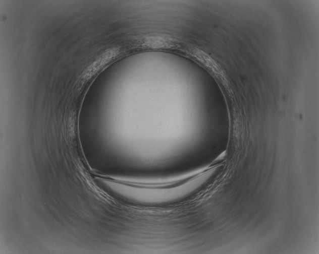 X0000086070393200704091241
