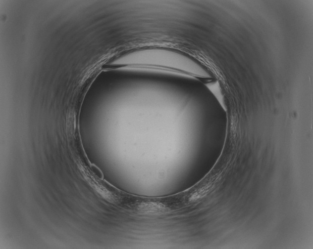 X0000086070397200704091241