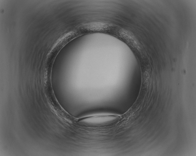 X0000086070400200704091241