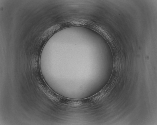 X0000086070402200704091240