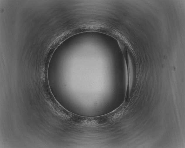 X0000086070403200704091240