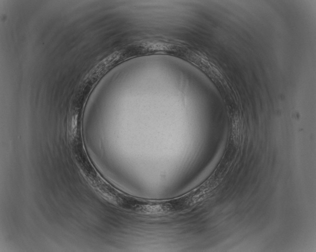 X0000086070406200704091240