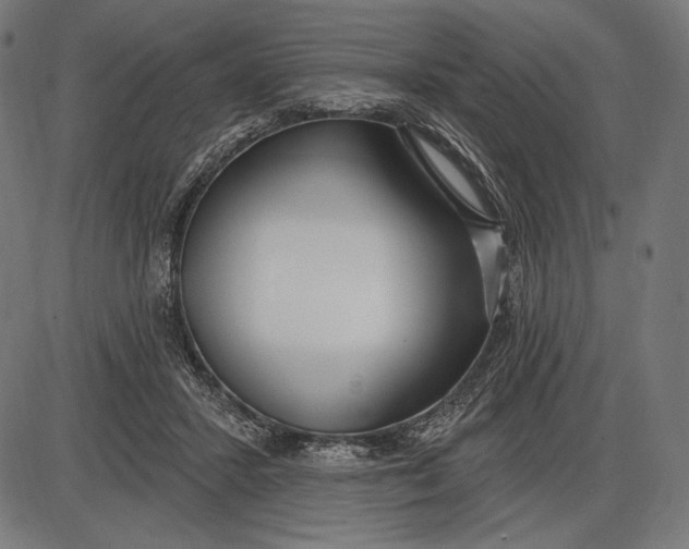 X0000086070407200704091240