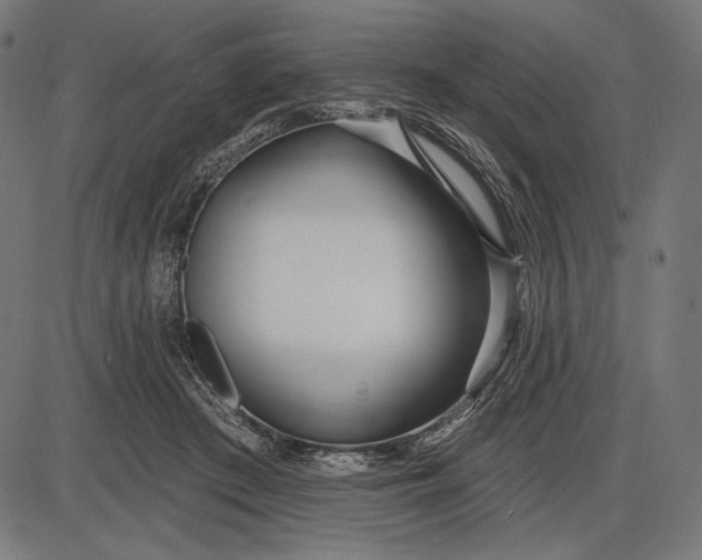 X0000086070409200704091240
